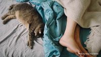 ペットを飼うと婚期が遅れるはホント！？実際のケースを元に調べてみた