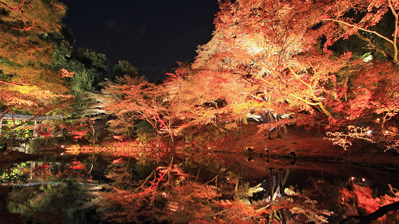 高台寺