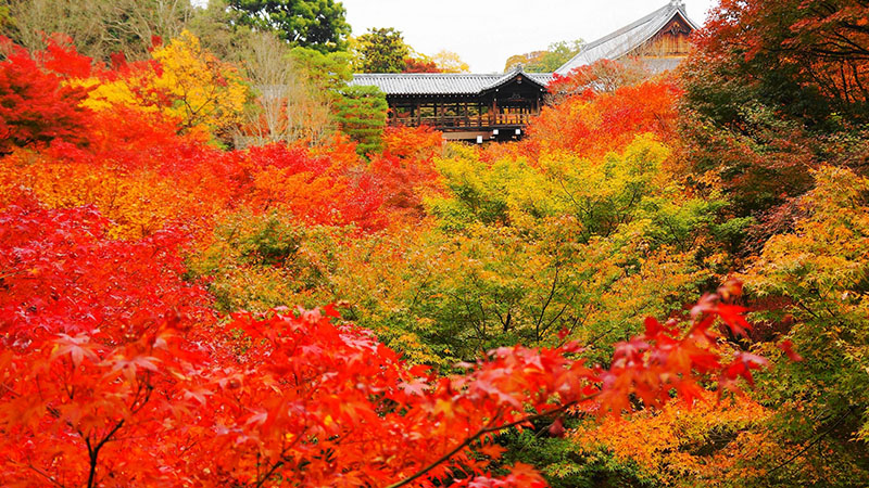 東福寺